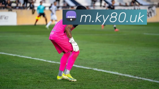 奖项图1